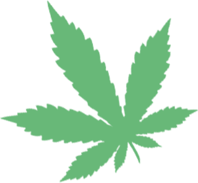 Cannabis Flower Left