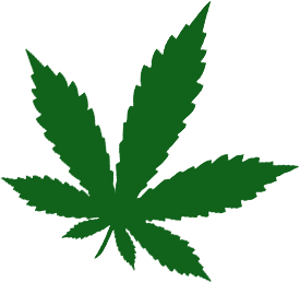 Cannabis Flower Right