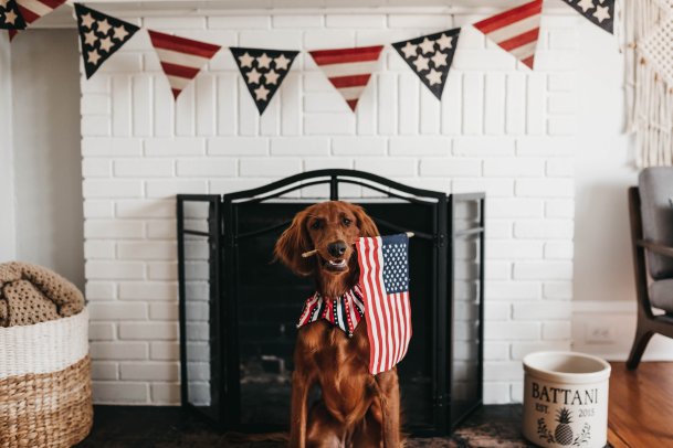 A paw-some social media strategy can make a memorable difference this Memorial Day.